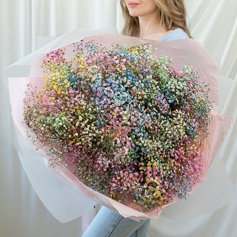 25 радужных гипсофил